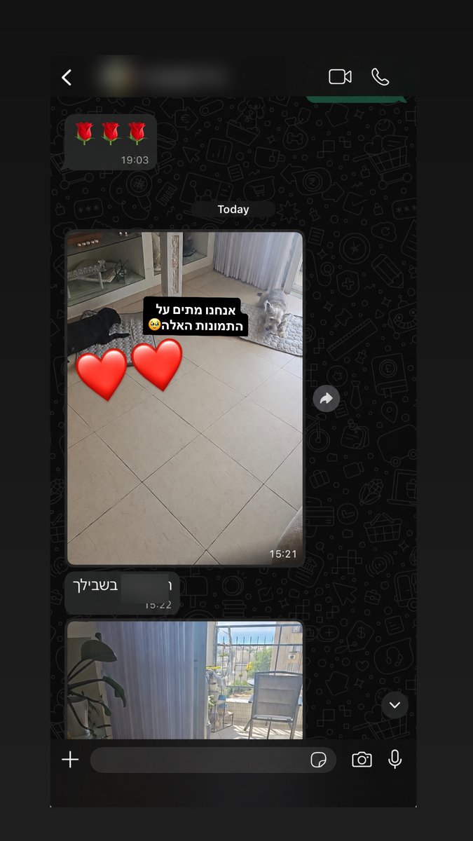 הודעת וואטסאפ מלקוחה עם תמונה של שני כלבים על שני מזרני קירור בסלון